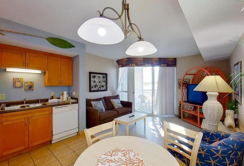 带1个卧室的公寓, Harbourgate Marina Club