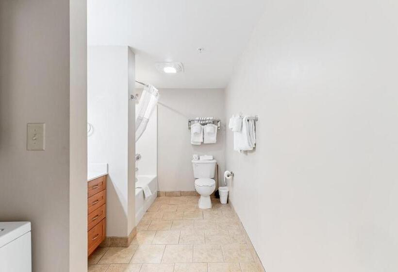 带2个卧室的套房, Harbourgate Marina Club