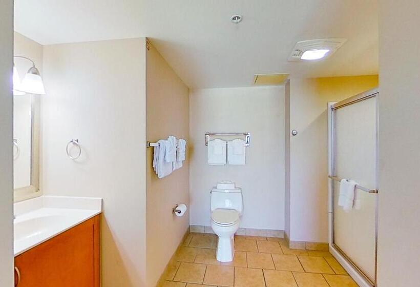 带3个卧室的套间, Harbourgate Marina Club