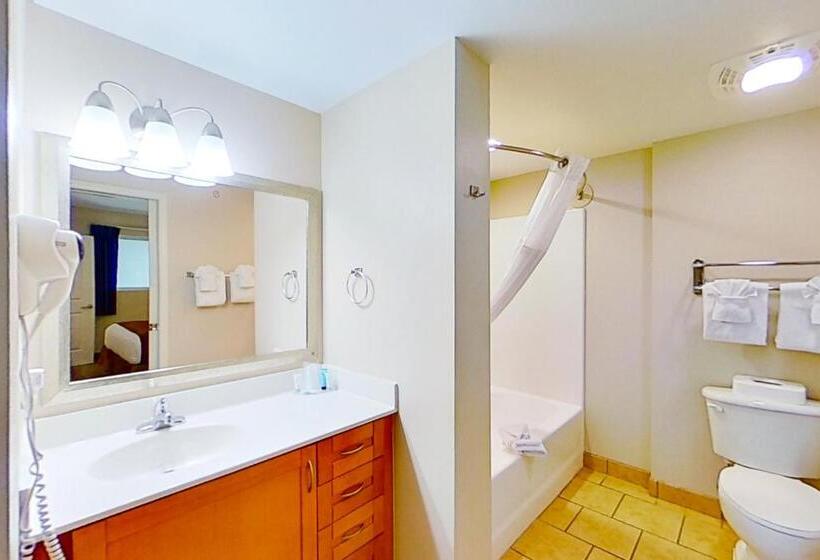 带3个卧室的公寓, Harbourgate Marina Club