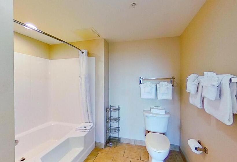 带3个卧室的公寓, Harbourgate Marina Club