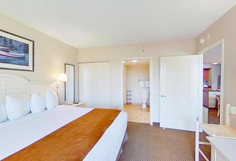 带3个卧室的公寓, Harbourgate Marina Club