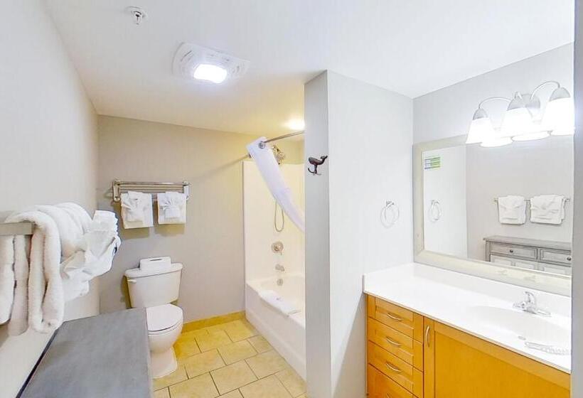 套房, Harbourgate Marina Club