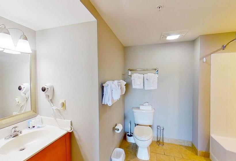 套房, Harbourgate Marina Club