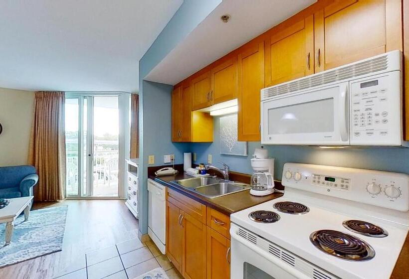 带1个卧室的公寓, Harbourgate Marina Club