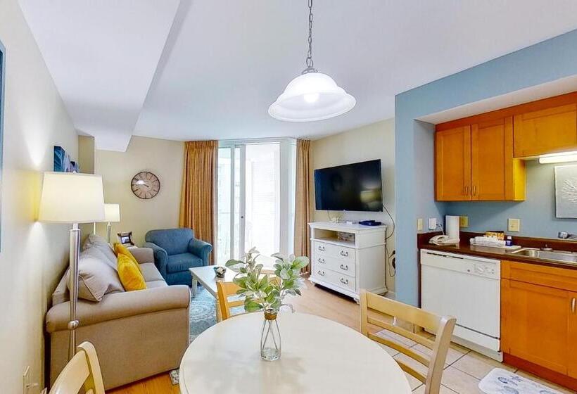 带1个卧室的公寓, Harbourgate Marina Club