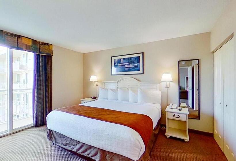 带3个卧室的公寓, Harbourgate Marina Club