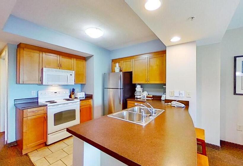 带3个卧室的公寓, Harbourgate Marina Club