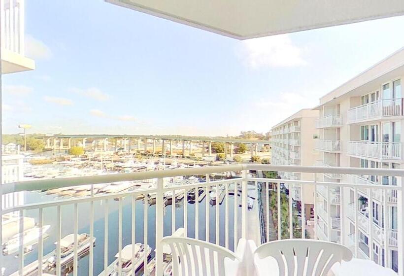 带3个卧室的公寓, Harbourgate Marina Club