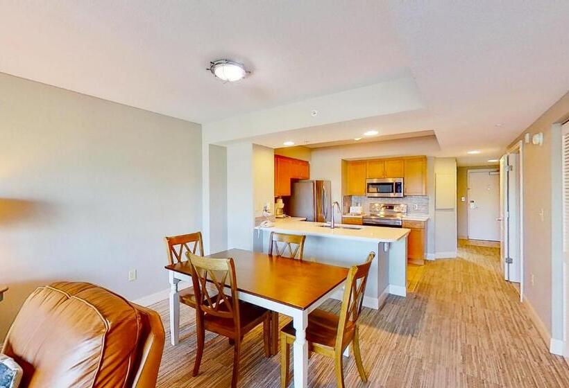 套房, Harbourgate Marina Club