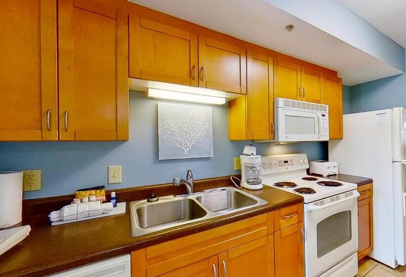 带1个卧室的公寓, Harbourgate Marina Club