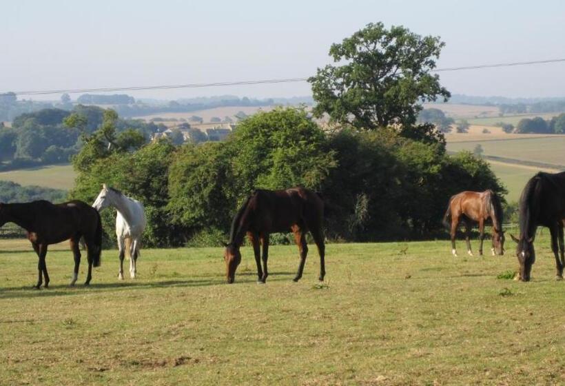 Habitació Estàndard Vista Jardí, Guiting Guest House
