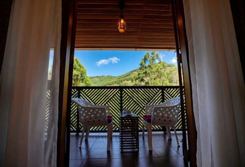 Quarto Superior, Stephen S Legacy