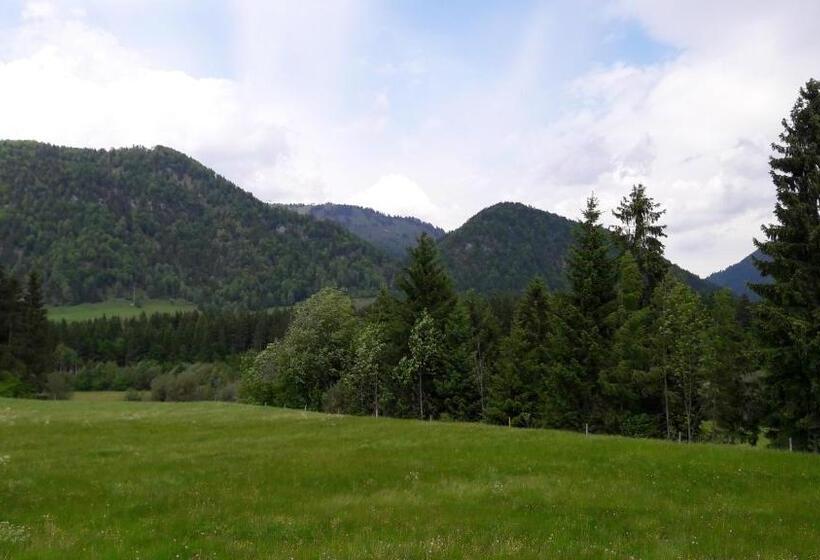Семейный Номер, Bio Bauernhof Bachangerhof