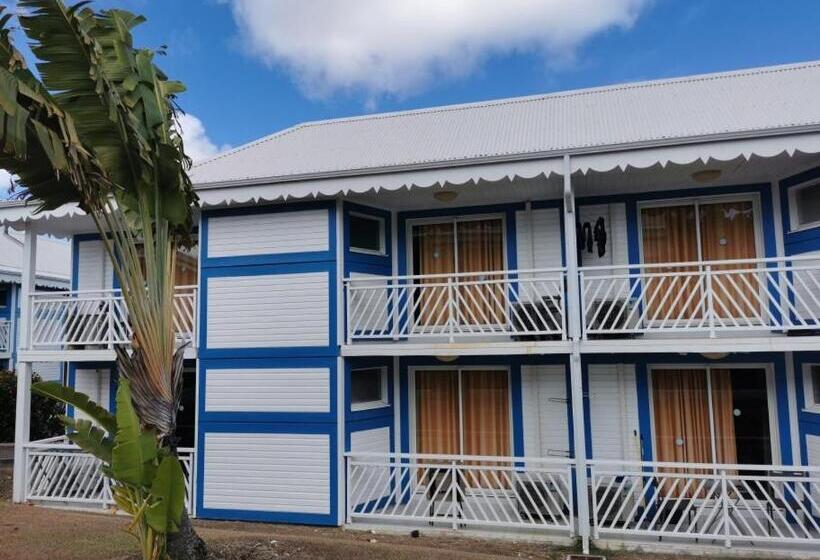 استودیوی استاندارد, Nuit étoilée