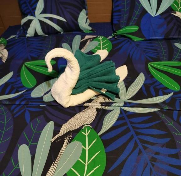 استودیوی استاندارد, Nuit étoilée