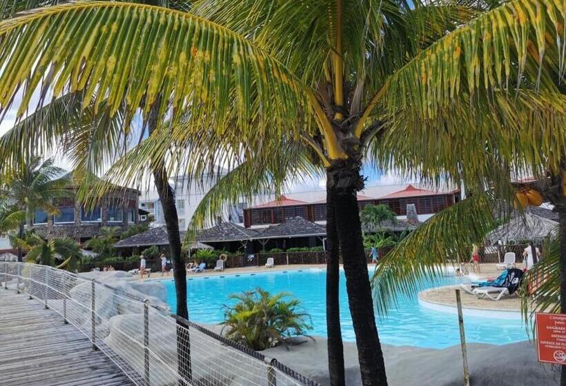 استودیوی استاندارد, Nuit étoilée