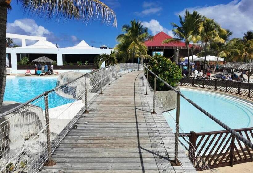 استودیوی استاندارد, Nuit étoilée