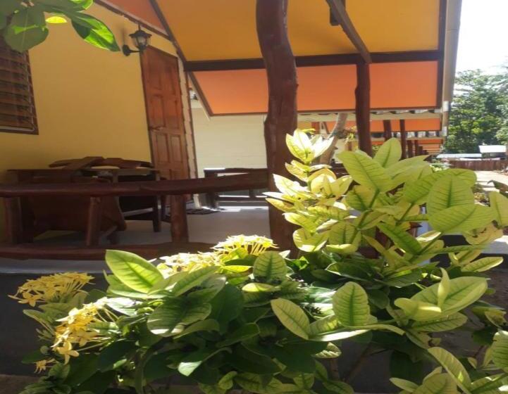 디럭스 방갈로, Long Beach Garden Resort