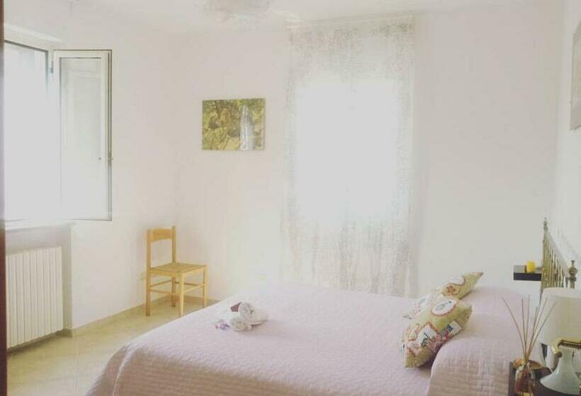 חדר סטנדרט, Gaietta