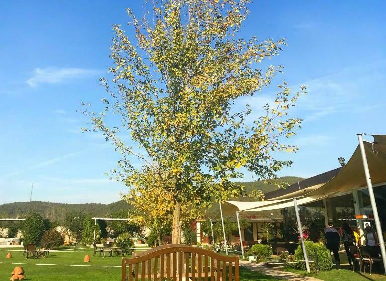 חדר סטנדרט לשלושה, Riva S Club