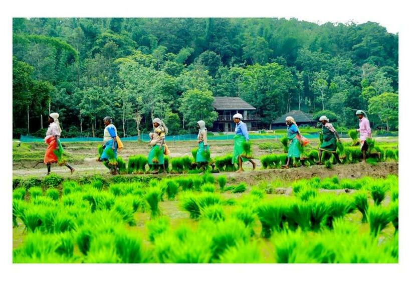 스탠다드 룸, Vayal Veedu Luxury Farm Villas By The Woods