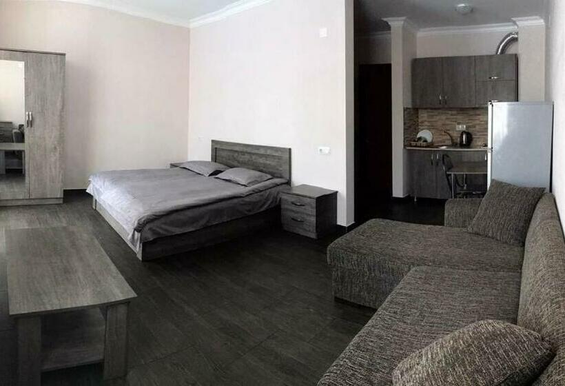 استودیوی استاندارد, Villa Bakuriani