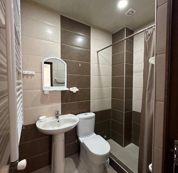 استودیو استاندارد با بالکن, Villa Bakuriani