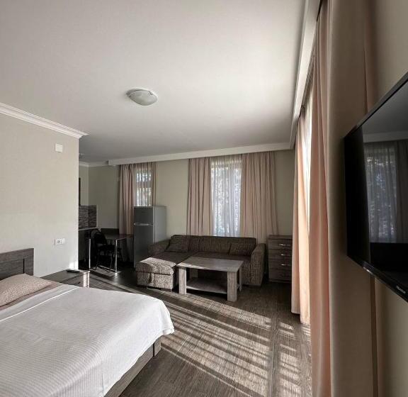 استودیو استاندارد با بالکن, Villa Bakuriani