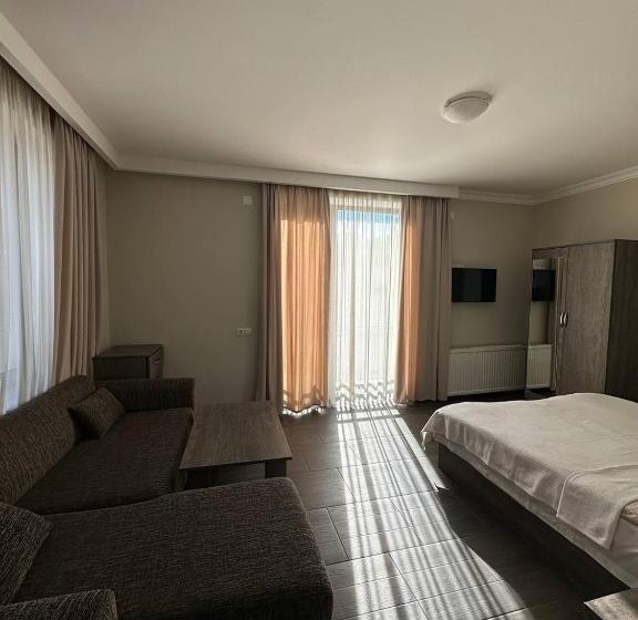 استودیو استاندارد با بالکن, Villa Bakuriani