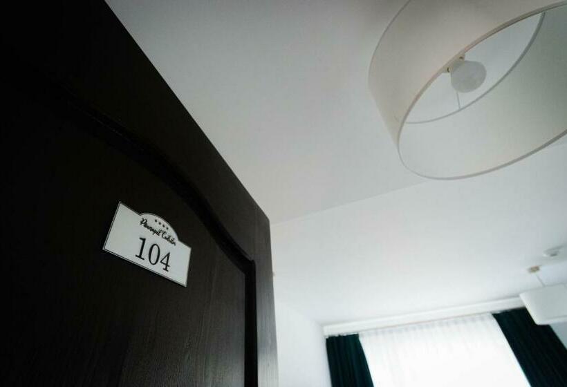 스탠다드 룸, Păunașul Codrilor