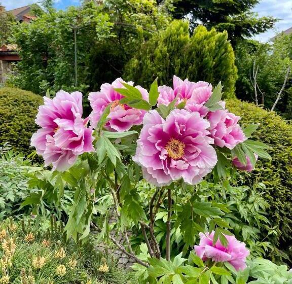 آپارتمان 1 خوابه, эко отель прованс одесса