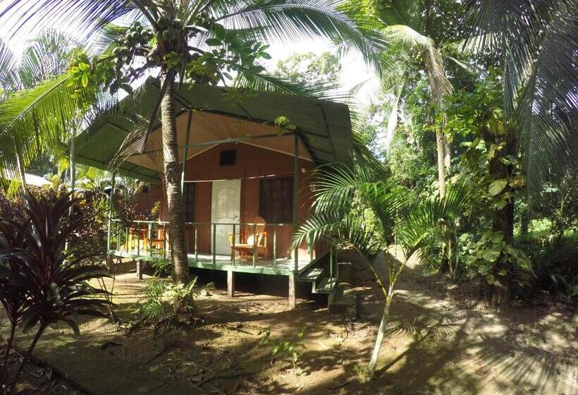 小室, Cabaña En El Rincon Corcovado