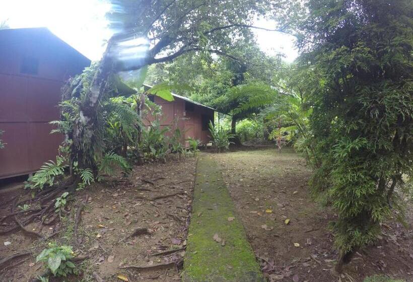 带花园景观的标准洋房, Cabaña En El Rincon Corcovado