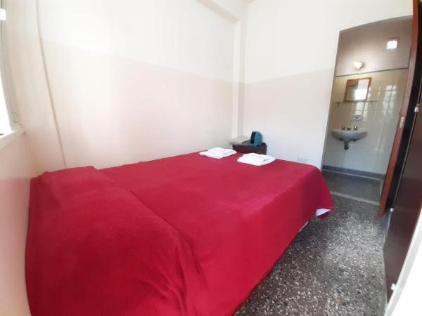 Номер Стандарт, Patricias 381