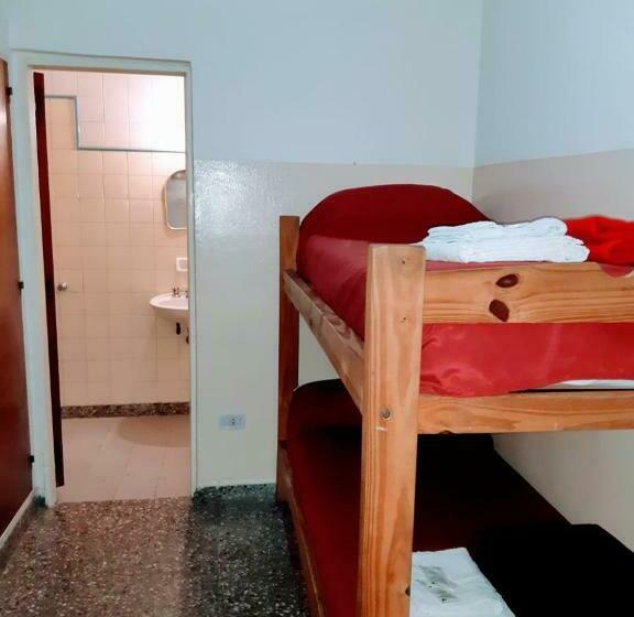 Номер Стандарт, Patricias 381