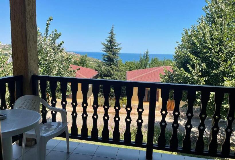 شقة غرفتين نوم مزودة بشُرفة, Complex Terazini