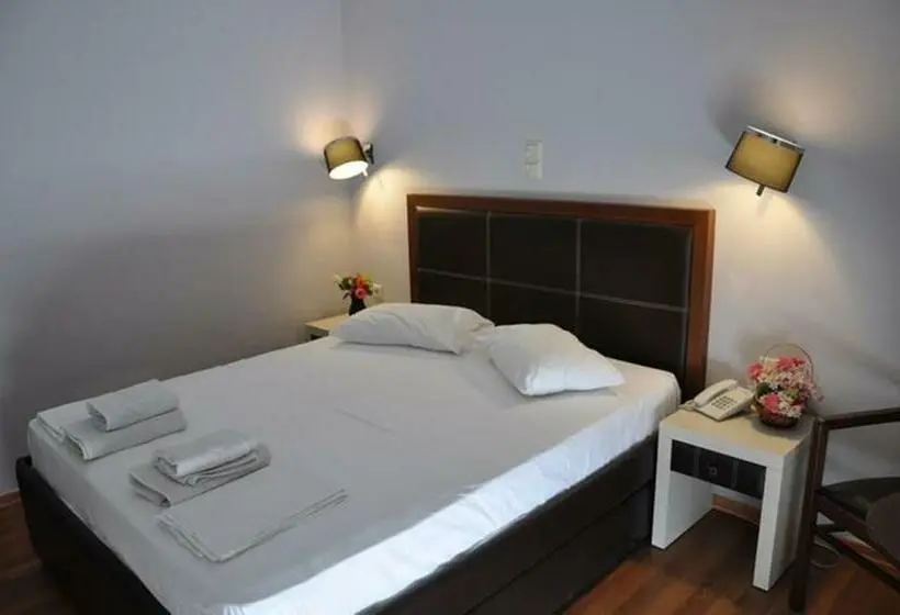 Chambre Standard, Elena