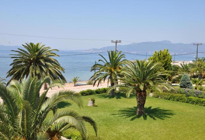 חדר קלאסי, Elena