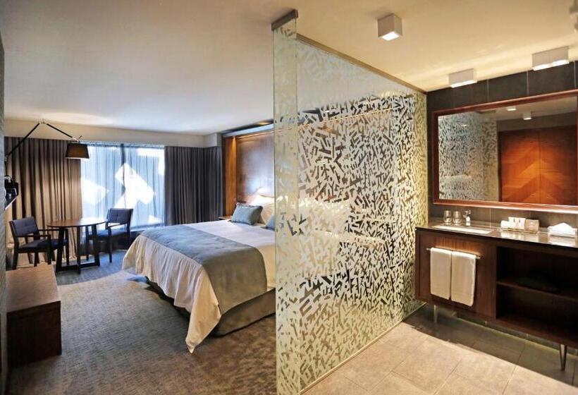 غرفة سوبيريور, Cumbres Lastarria