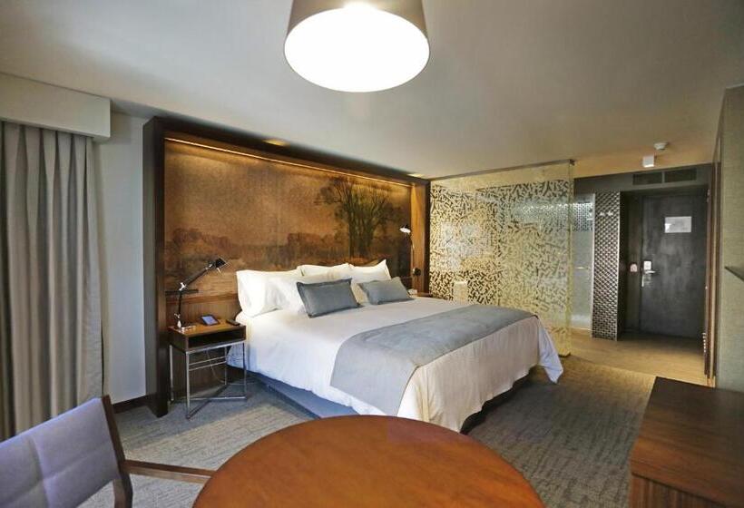 غرفة سوبيريور, Cumbres Lastarria