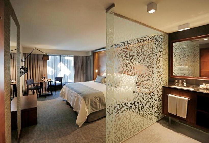 غرفة سوبيريور, Cumbres Lastarria