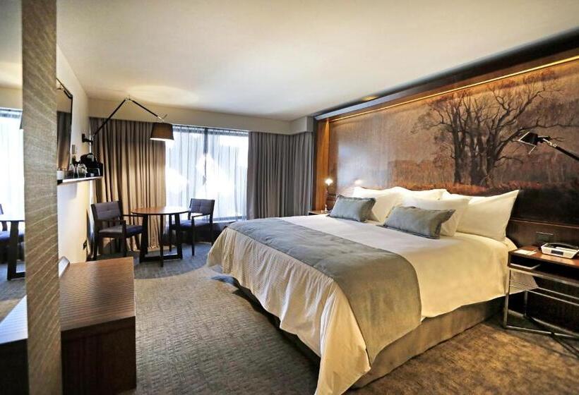 غرفة سوبيريور, Cumbres Lastarria