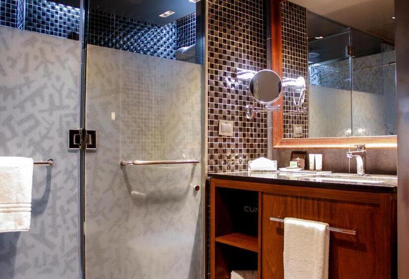 غرفة قياسية فردية, Cumbres Lastarria