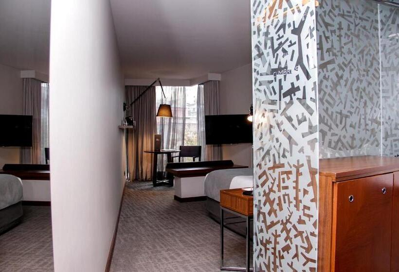 غرفة قياسية فردية, Cumbres Lastarria