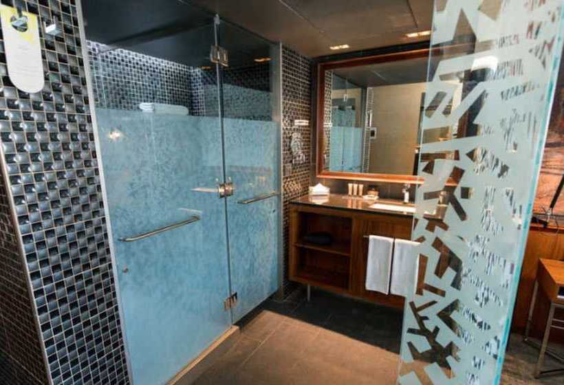 اتاق استاندارد یک نفره, Cumbres Lastarria