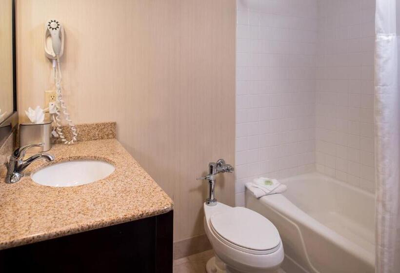 غرفة قياسية, Hawthorne Inn & Conference Center