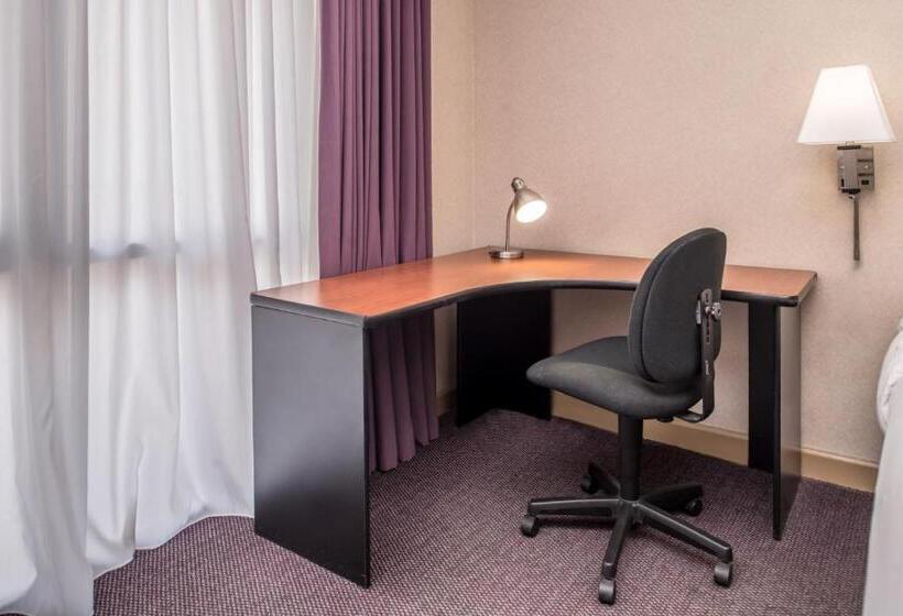 غرفة قياسية سرير كينج, Hawthorne Inn & Conference Center