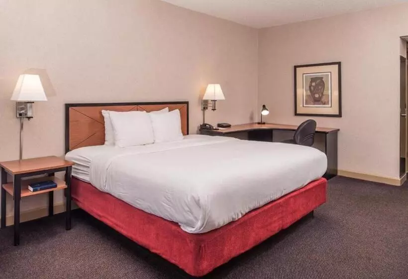 Standard Room King Size Bed