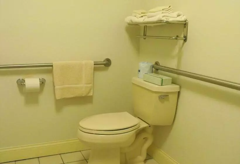 スタンダードルーム, Americas Best Value Inn Three Rivers